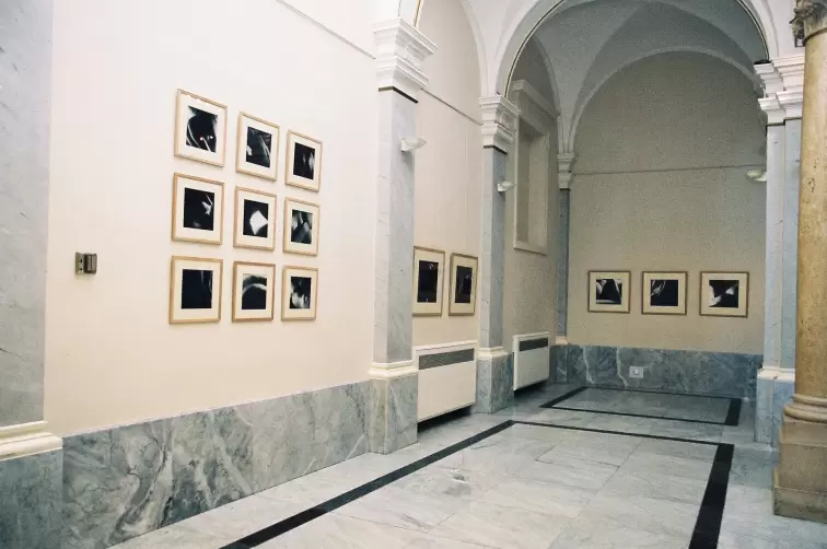 Fabien Calcavecchia: Akt, fotografije