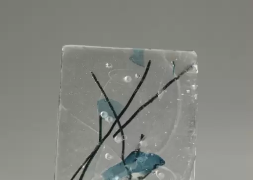Transparentna ljepota