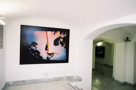 Mario Schifano: Musa ausiliaria - galerija slika - slika 3