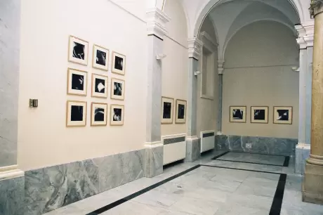 Fabien Calcavecchia: Akt, fotografije - galerija slika - slika 2